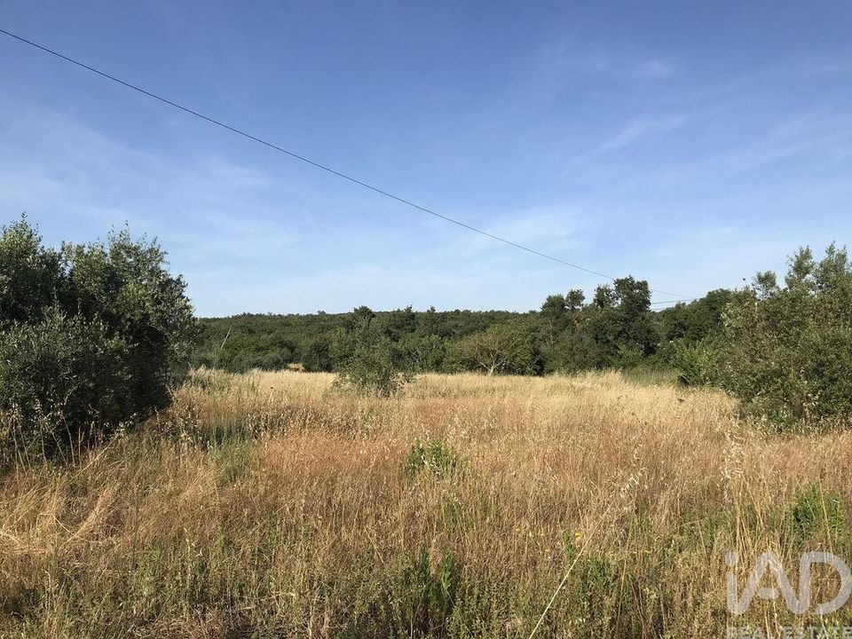 Helårsgrund i Ferreira do Zezere, Santarem - foto 4