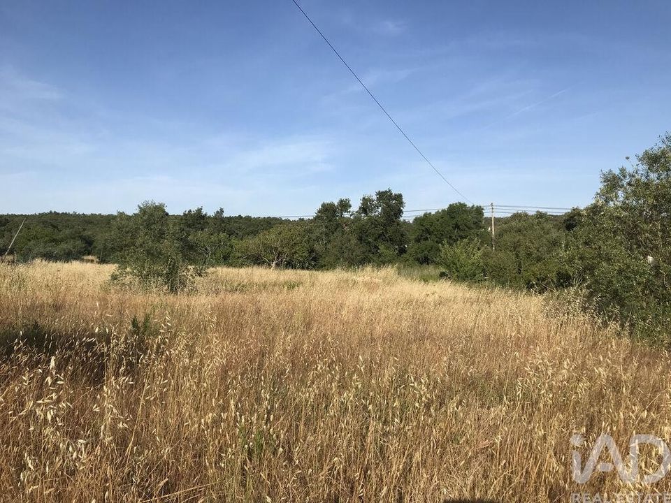Helårsgrund i Ferreira do Zezere, Santarem - foto 5