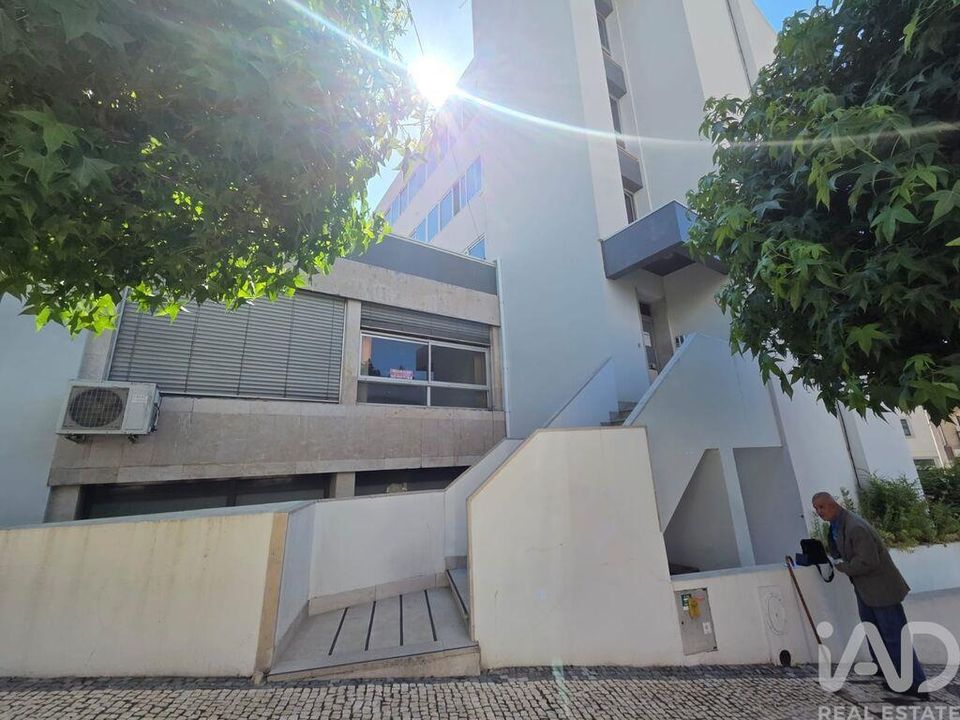 Erhvervsejendom i Mortagua, Viseu - foto 2