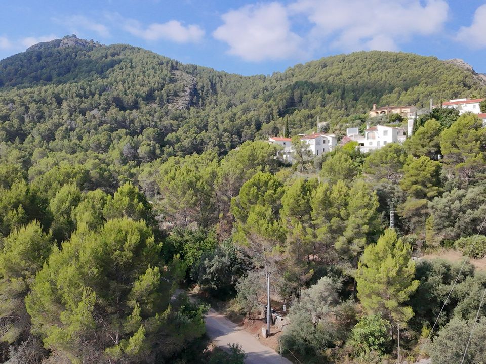 Helårsgrund i Orba, Alicante - foto 3