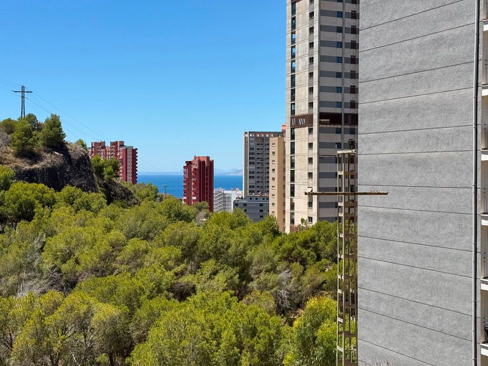 Lejlighed i Benidorm, Alicante - foto 1