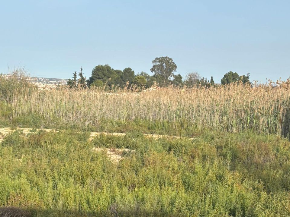 Terra a Ceuti, Murcia - foto 1