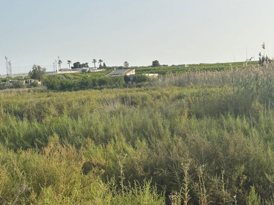 Terra a Ceuti, Murcia - foto 2