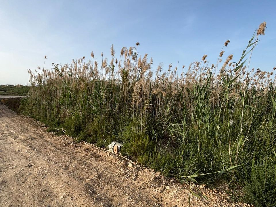 Terra a Ceuti, Murcia - foto 5