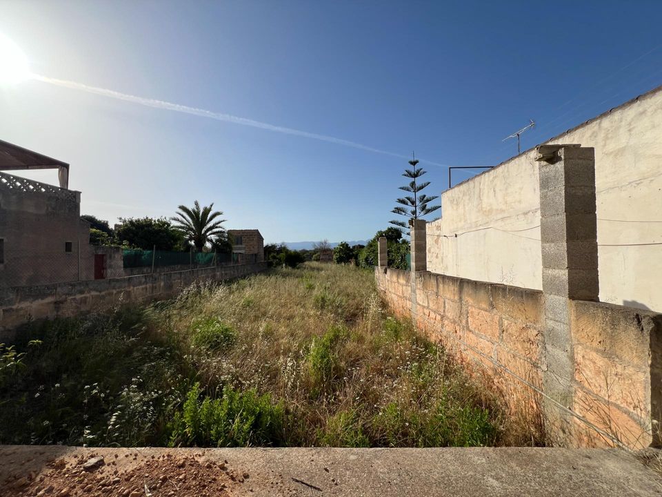 Helårsgrund i Algaida, Mallorca - foto 3
