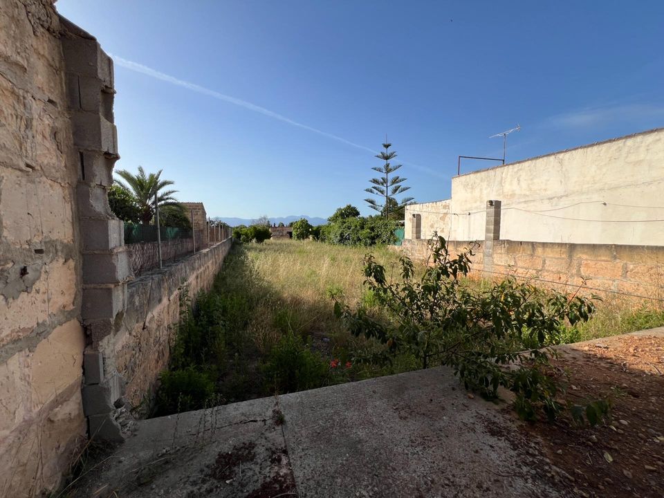 Helårsgrund i Algaida, Mallorca - foto 4
