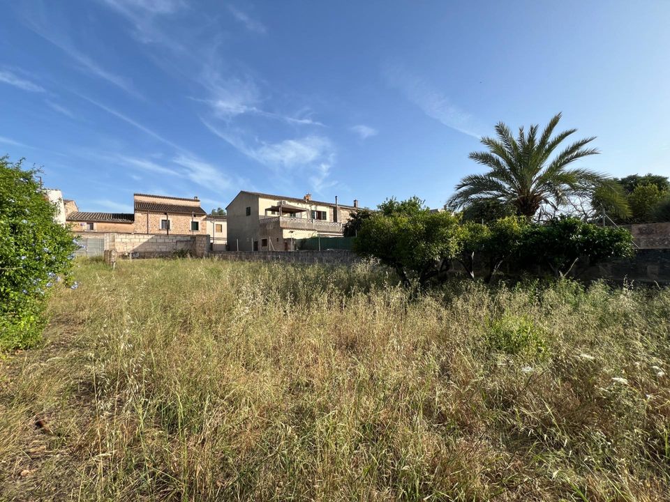 Helårsgrund i Algaida, Mallorca - foto 5
