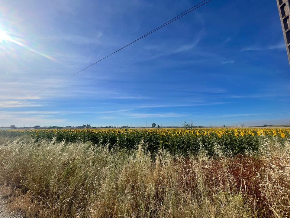 Terra a Huelva, Huelva - foto 2