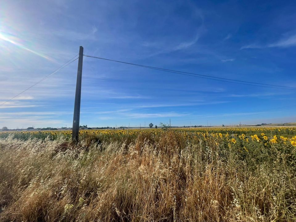 Terra a Huelva, Huelva - foto 3