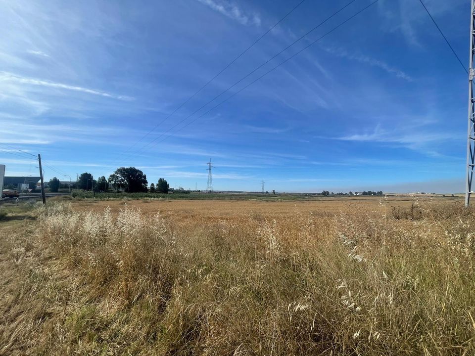 Terra a Huelva, Huelva - foto 5