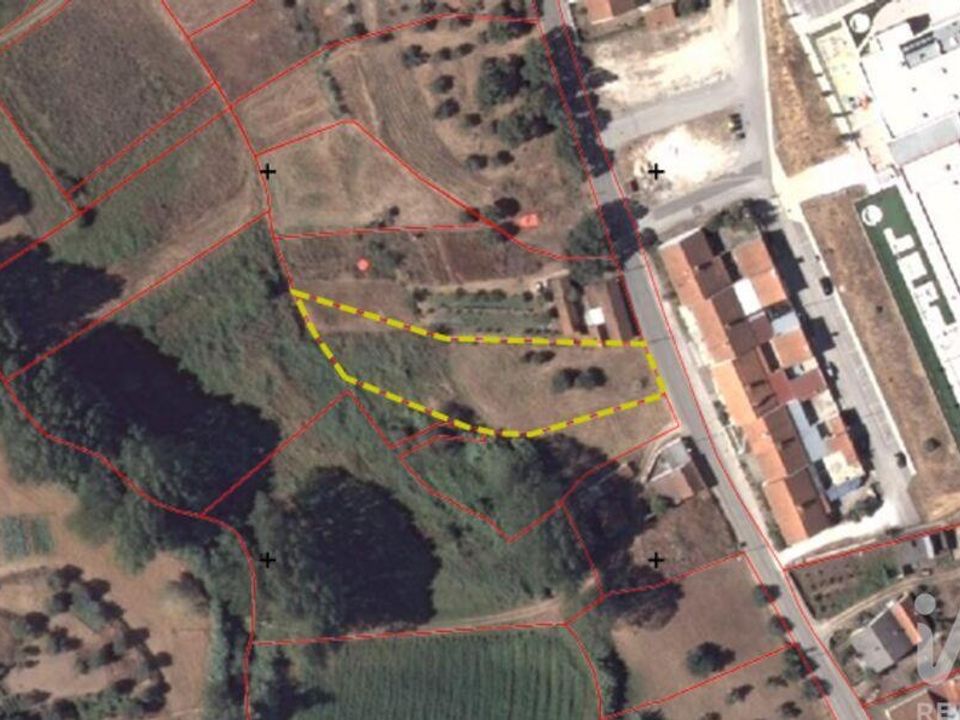 Helårsgrund i Rio Maior, Santarem - foto 2