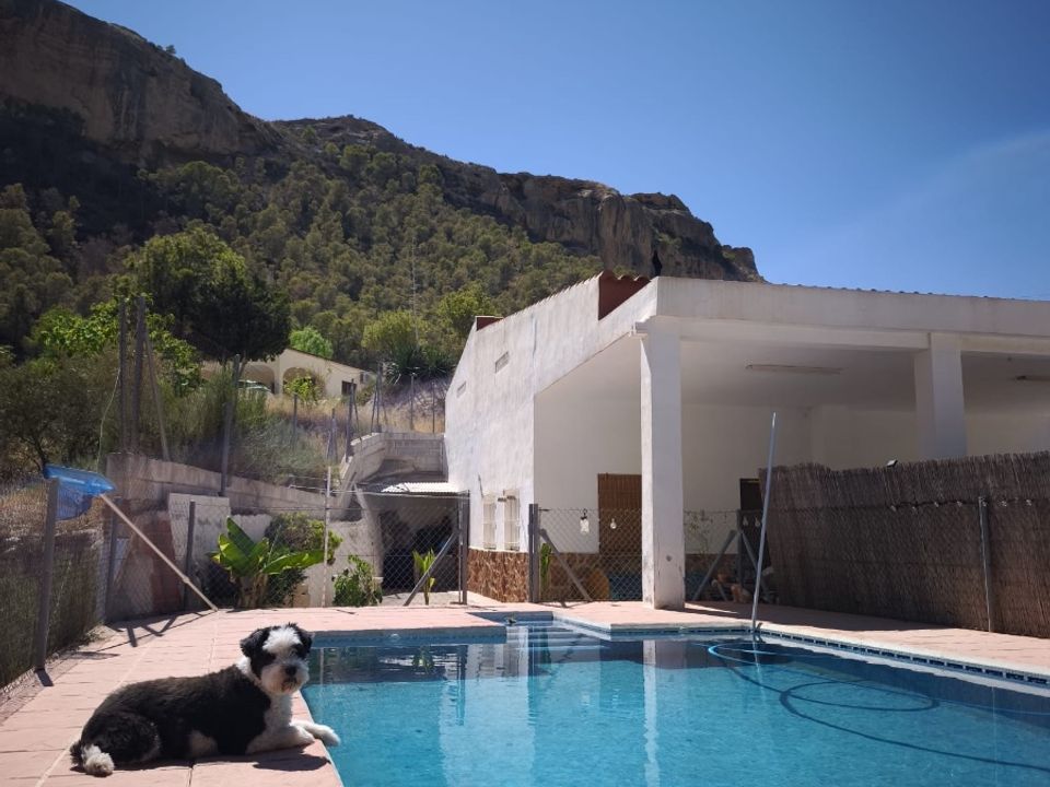 Finca i Crevillent, Alicante - foto 4