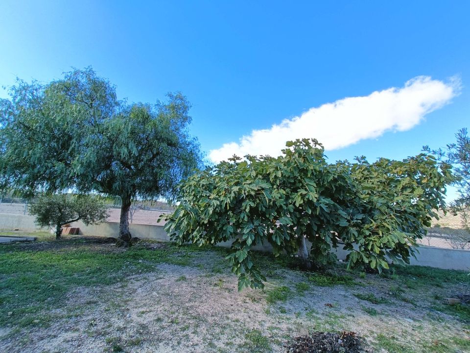 Villa i Hondon De Los Frailes, Alicante - foto 5