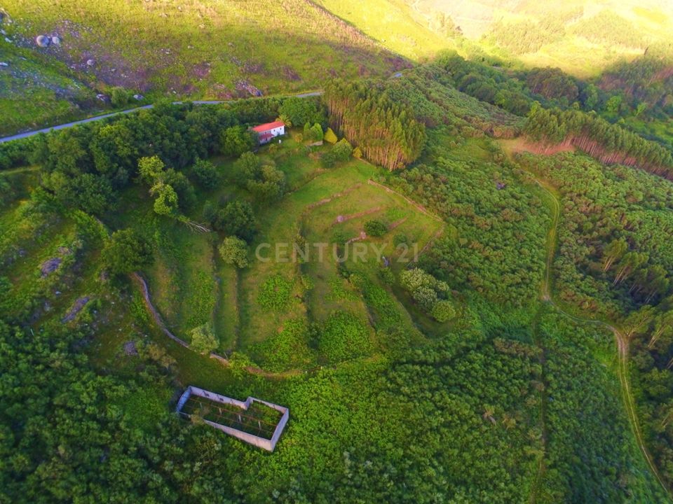 Farm hus i Lousa, Coimbra - foto 2