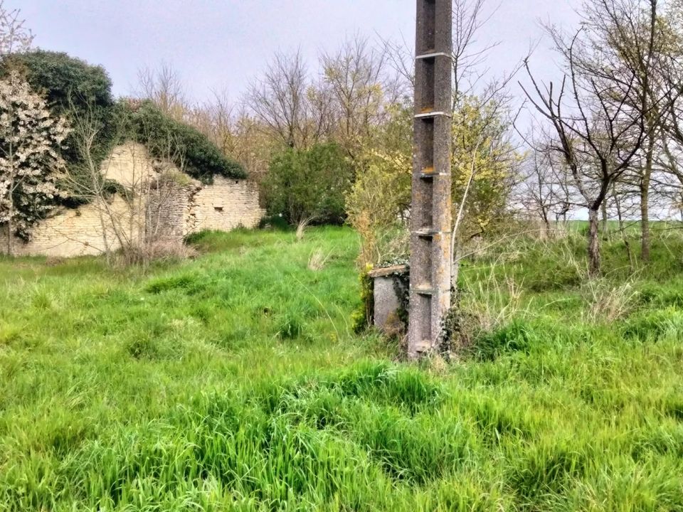 Tomt i Vouzailles, Vienne - bilde 5