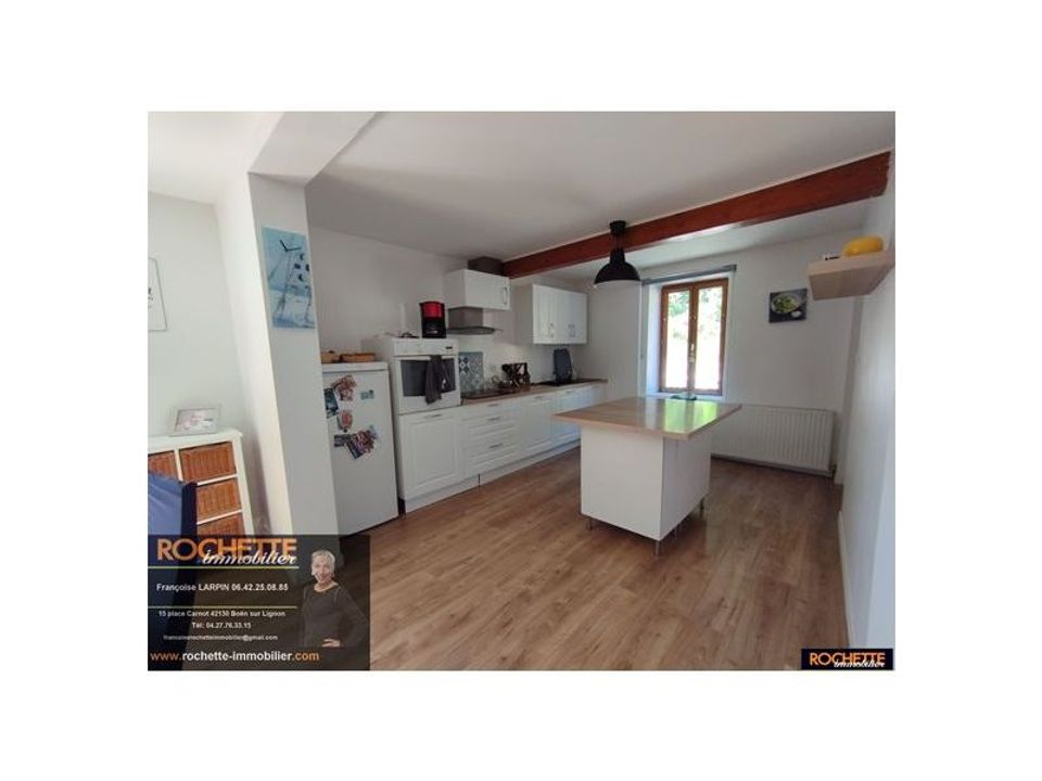 Villa i Sail-sous-Couzan, Loire - bilde 2