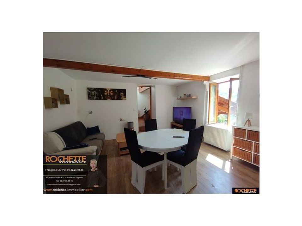 Villa i Sail-sous-Couzan, Loire - bilde 3