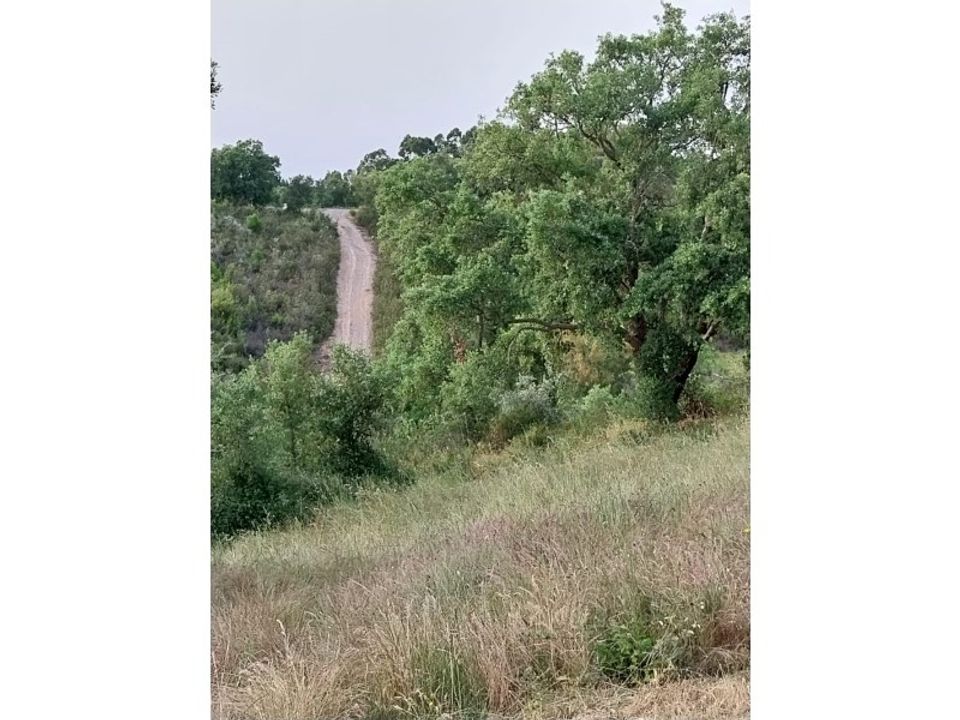 Landejendom i Odemira, Beja - foto 3