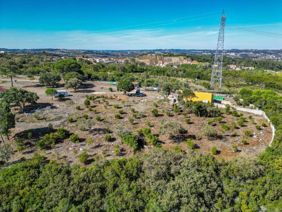 Helårsgrund i Alcobaca, Leiria - foto 2