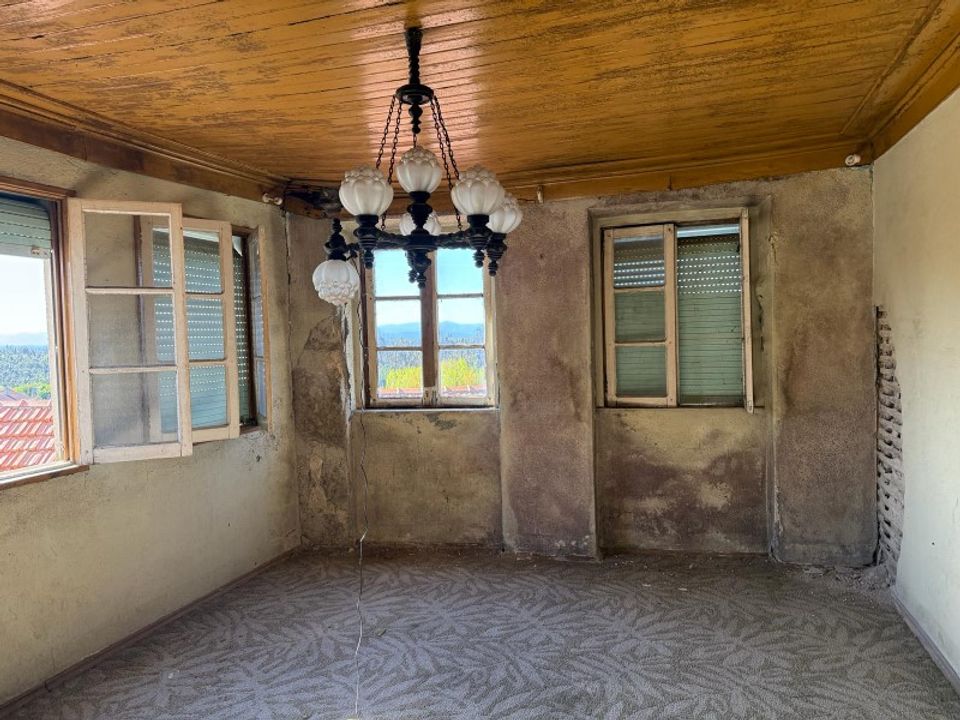 Villa i Santa Comba Dao, Viseu - foto 4