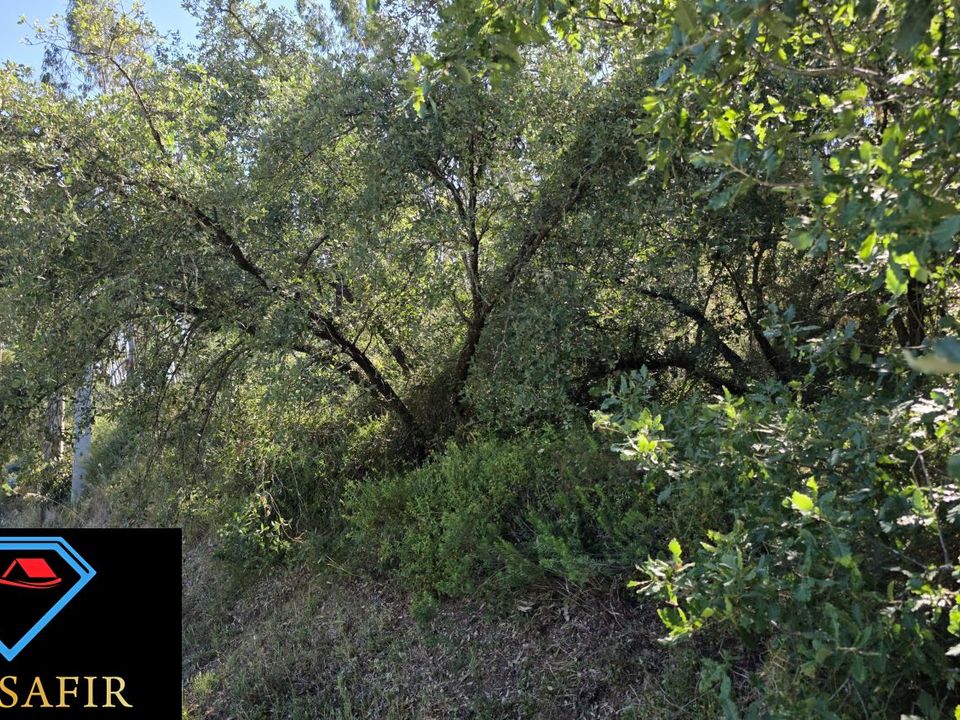Helårsgrund i Ferreira do Zezere, Santarem - foto 1