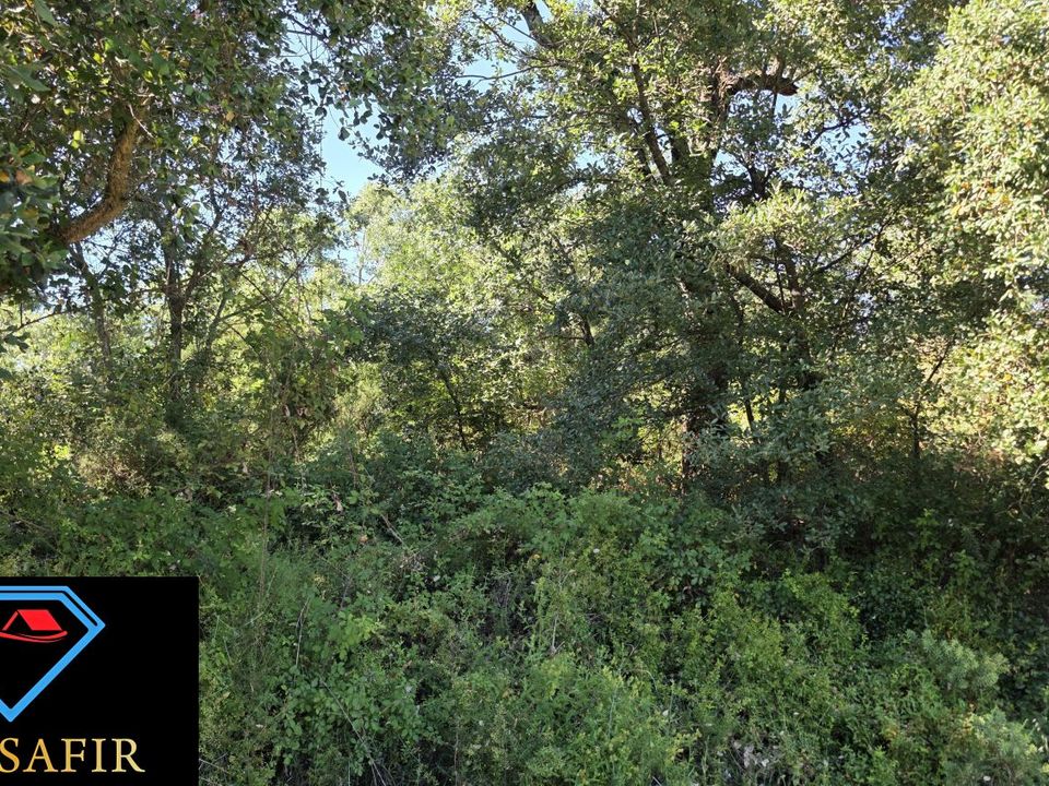 Helårsgrund i Ferreira do Zezere, Santarem - foto 2