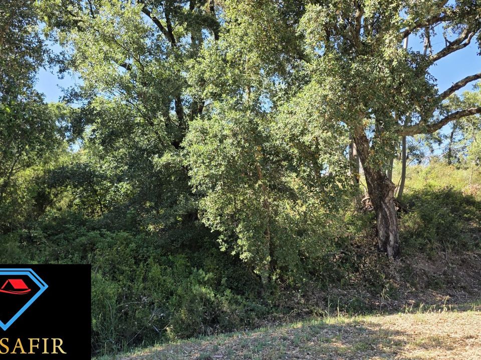 Helårsgrund i Ferreira do Zezere, Santarem - foto 3