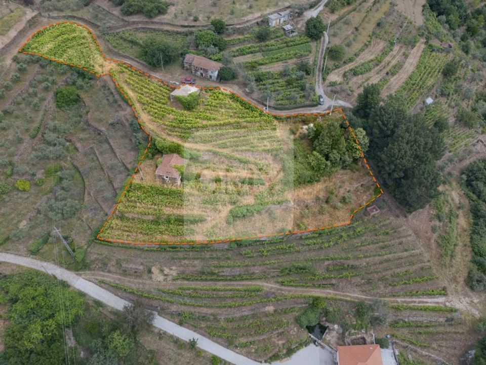 Farm i Vila Real, Vila Real - foto 1