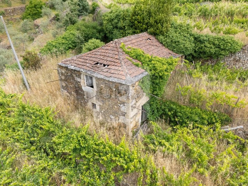 Farm i Vila Real, Vila Real - foto 2