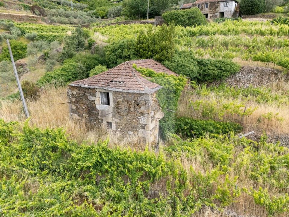 Farm i Vila Real, Vila Real - foto 3