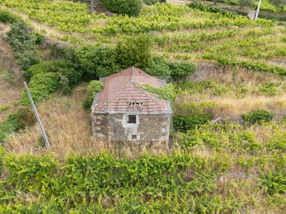 Farm i Vila Real, Vila Real - foto 4