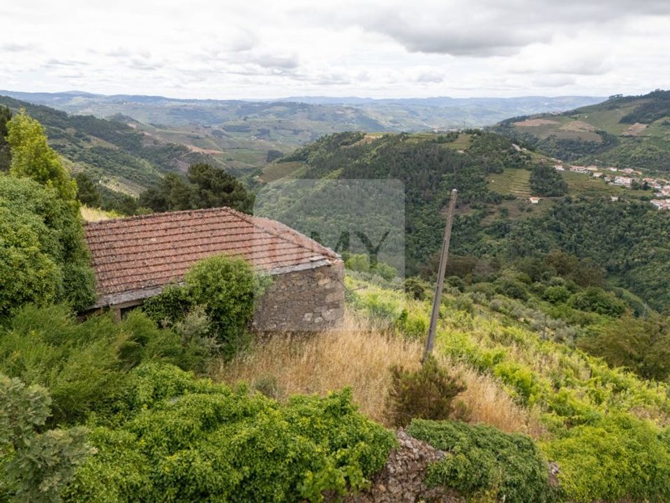 Farm i Vila Real, Vila Real - foto 5