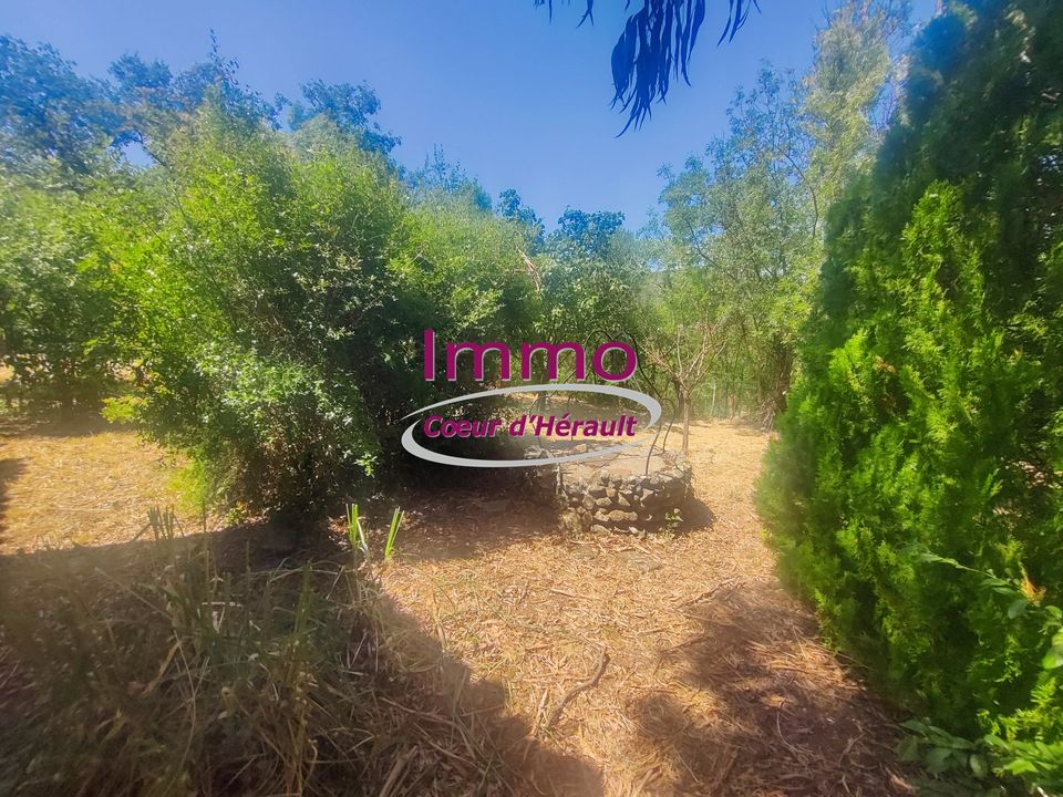 Villa in Le Bosc, Herault - foto 3
