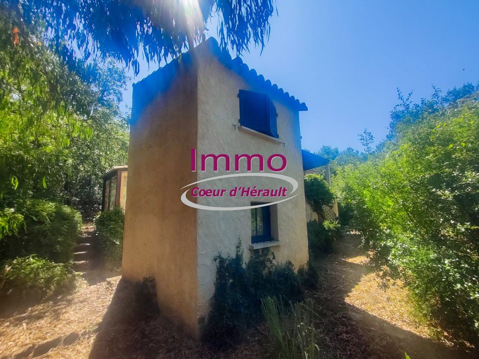 Villa a Le Bosc, Herault - foto 1