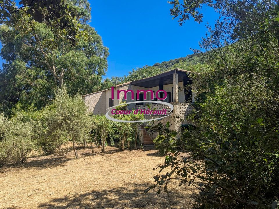 Willa: Le Bosc, Herault – zdjęcie 1