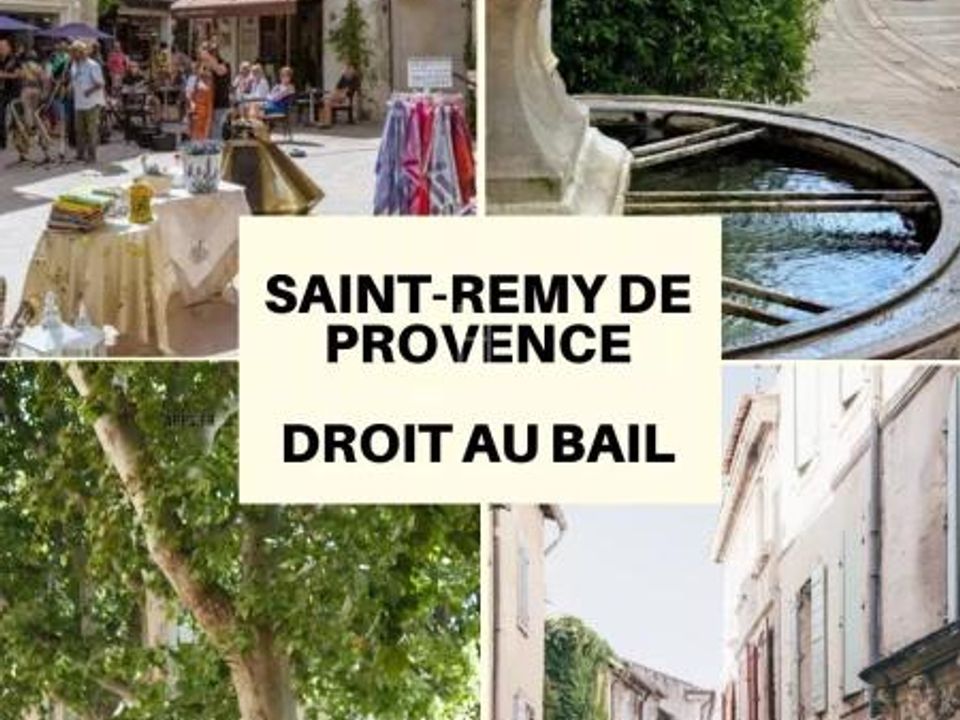 Erhvervsejendom i Saint-Remy-de-Provence, Bouches-du-Rhone - foto 1