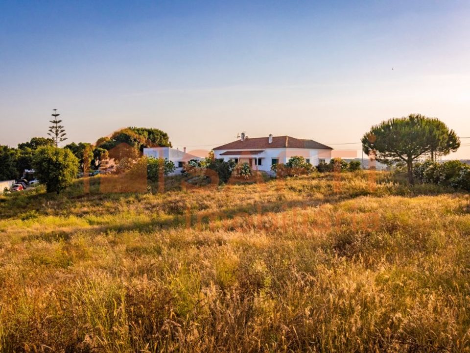 Farm i Pontevel, Santarem - foto 3