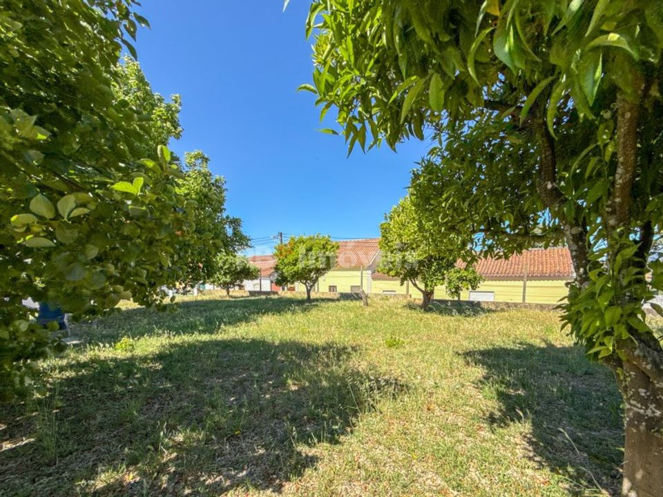 Villa i Olaia e Paco, Santarem - foto 4