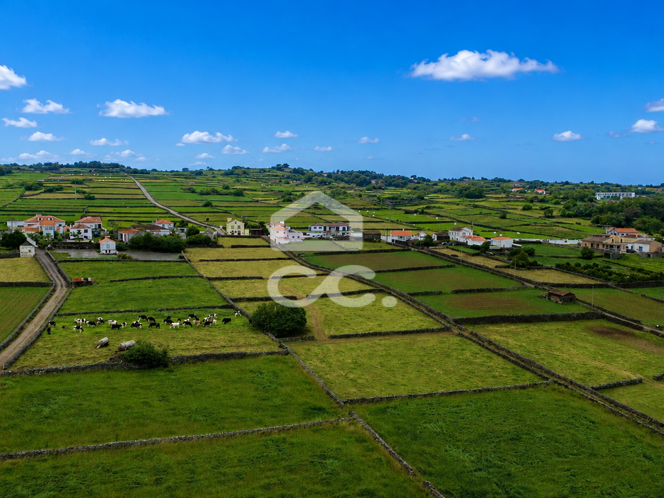 Tomt i Cinco Ribeiras, Terceira - bilde 5