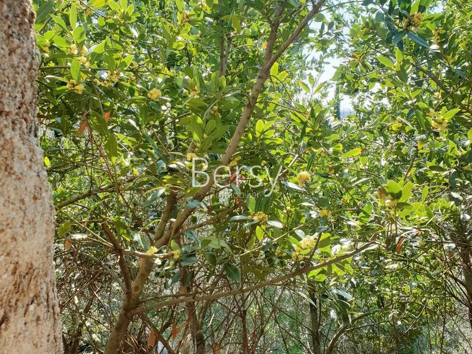 Apartment in Aubignan, Vaucluse - photo 5