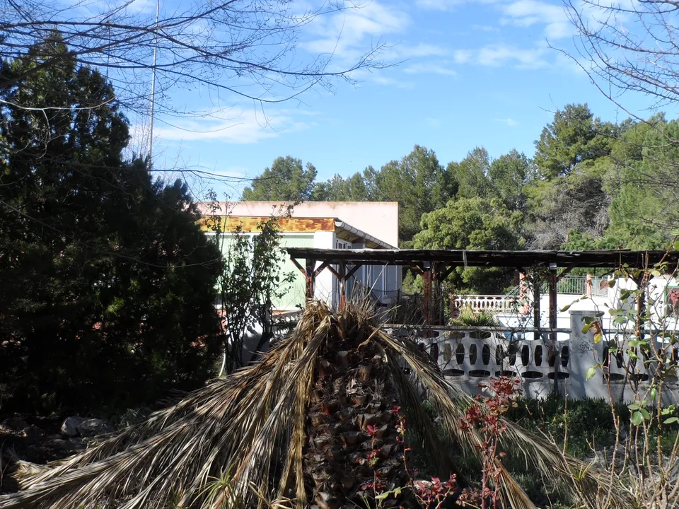 Landejendom i Pinoso, Alicante - foto 3
