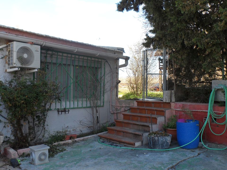 Landejendom i Pinoso, Alicante - foto 5