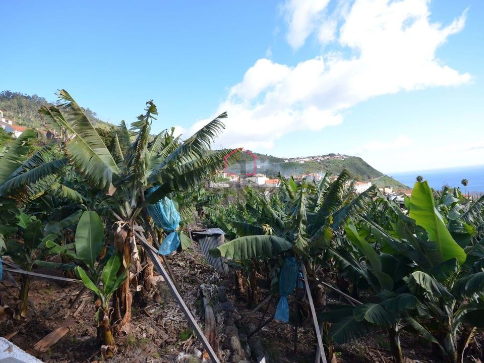 Helårsgrund i Calheta, Madeira - foto 3