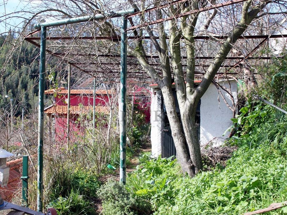 Villa a Camacha, Madeira - foto 4