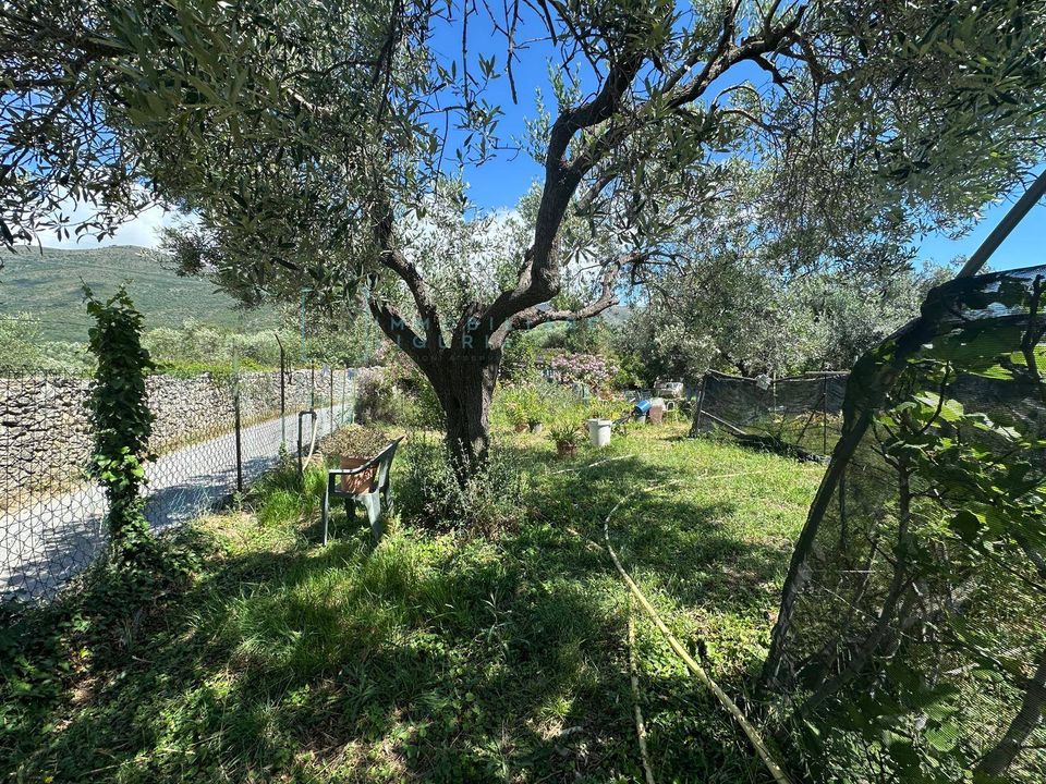 Helårsgrund i Albenga, Savona - foto 3