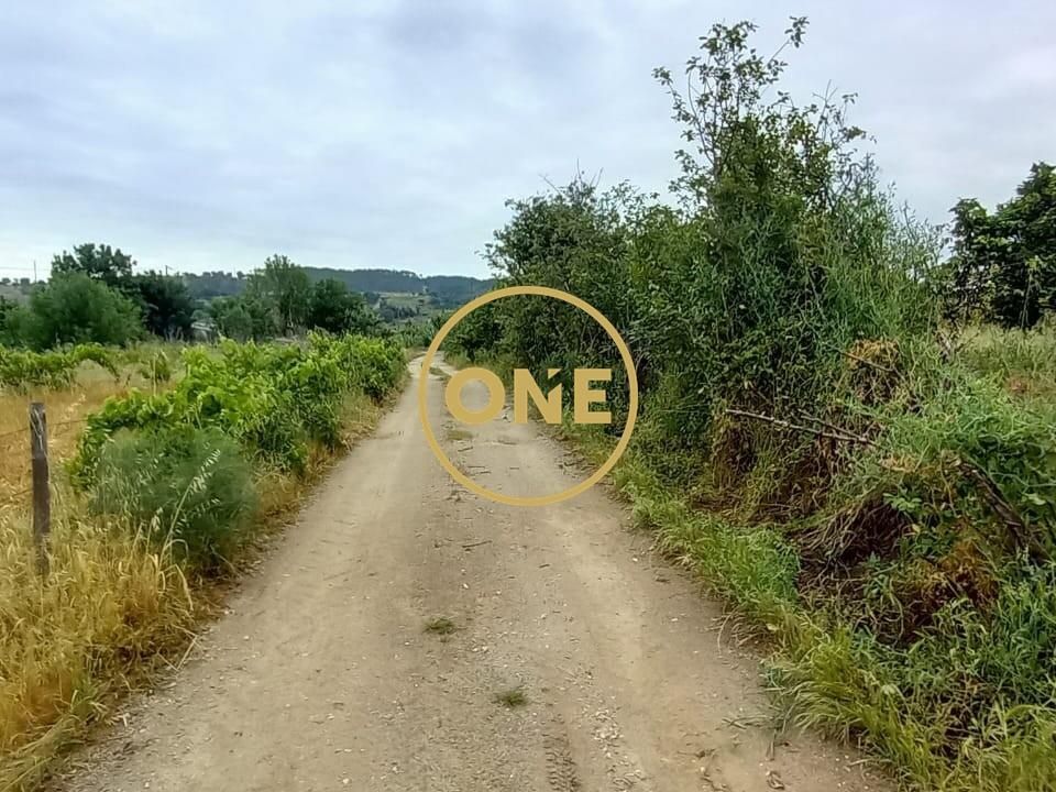 Terra a Chamusca, Santarem - foto 2