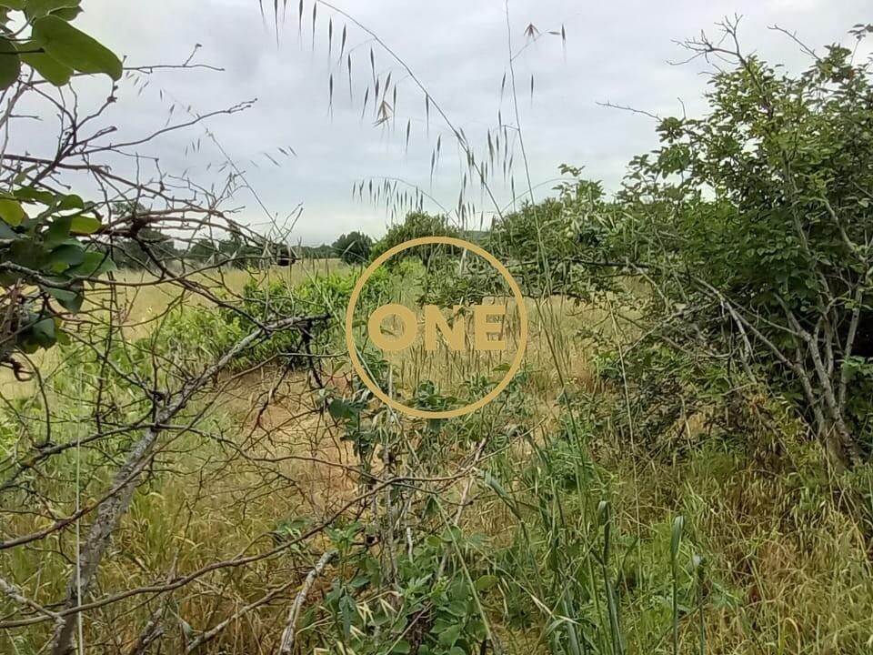 Terra a Chamusca, Santarem - foto 3