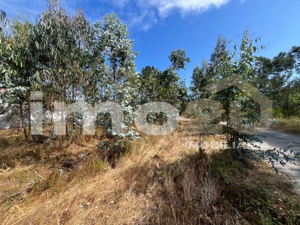 Tomt i Monte Real, Leiria - bilde 2