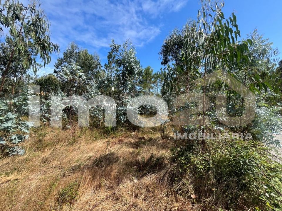 Tomt i Monte Real, Leiria - bilde 3