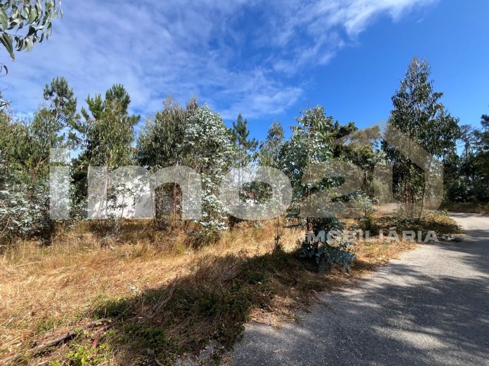 Tomt i Monte Real, Leiria - bilde 4